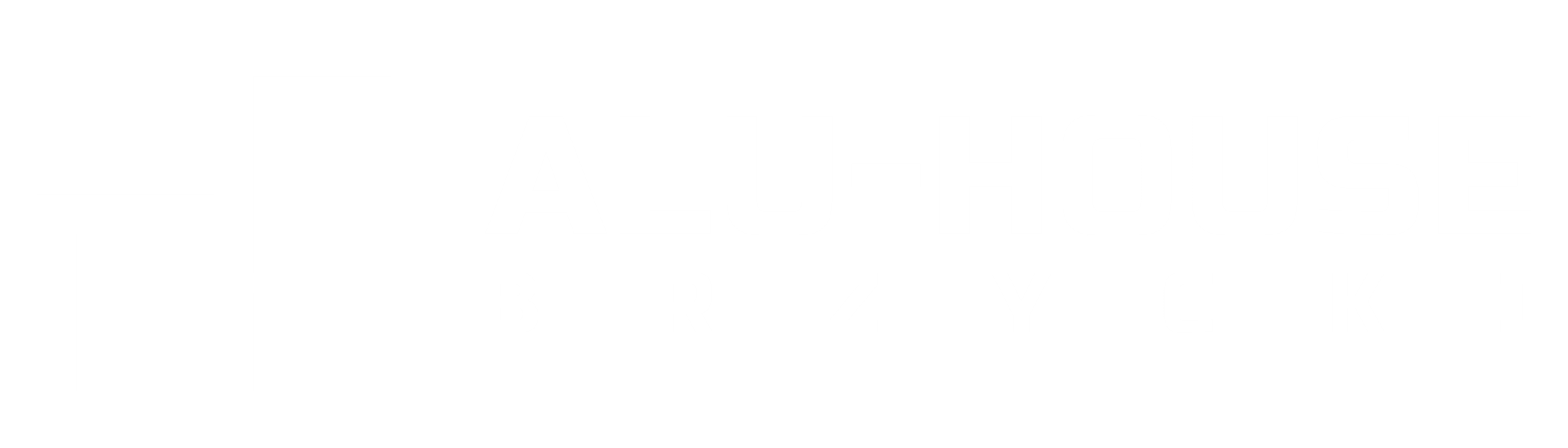 ALU-HOUSE Brzycki